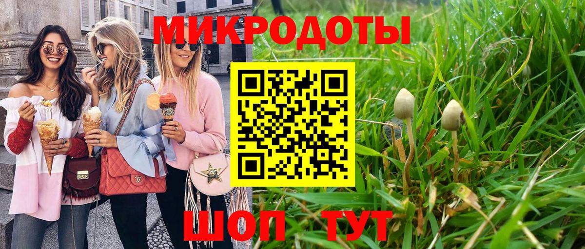 Псилоцибиновые грибы мицелий Мценск